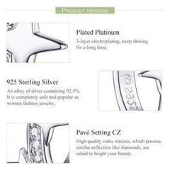 925 sterling silver star shaped earrings - Transparent