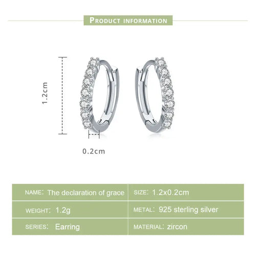 Stone Hoop 925 Silver Earrings - Transparent