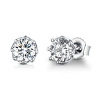 Cubic Zircon 925 Silver Earrings - Transparent
