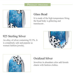 Frozen Snowflakes 925 Silver Charm - fathyibrahim