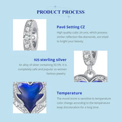 Guardian Heart 925 Silver Charm - Multi Color