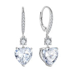 Love Zircon 925 Silver Earring - Transparent - Earrings