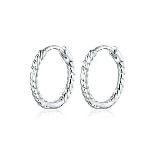 Platinum 925 Silver Earring - fathyibrahim