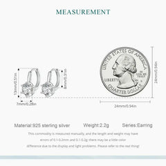 Shiny zircon stone Earring - 925 sterling silver - Transparent