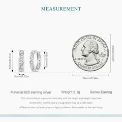 Wavy Zircon 925 Silver Earring - Transparent