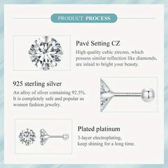 Zircon 925 Silver Earrings - Transparent