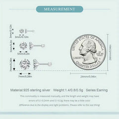 Zircon 925 Silver Earrings - Transparent