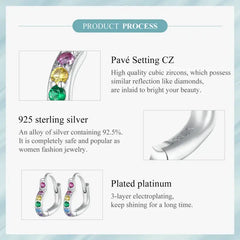 Zircon Heart 925 Silver Earrings - Multi Color